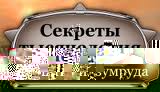 Вышивка игольницы